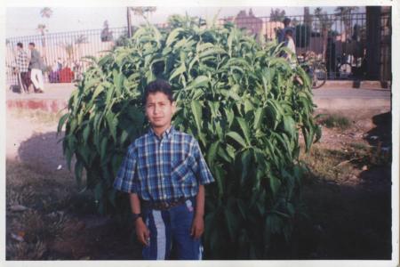 rabih